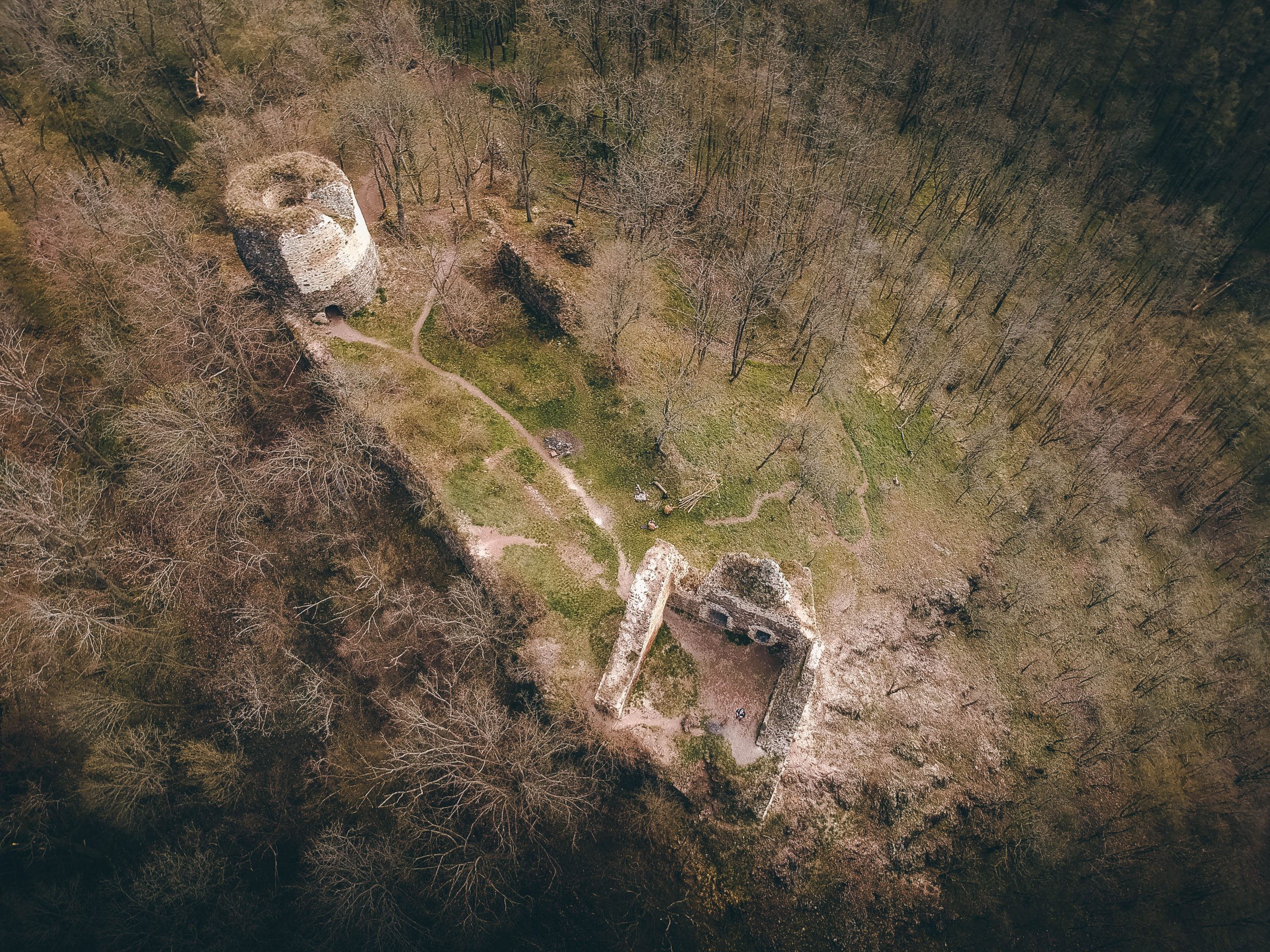 Týřov Castle ruins